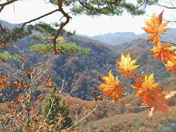 探索未知，解析澳门彩票开奖结果第006期（2025年今晚）,2025年今晚澳门开奖结果006期 08-10-11-34-35-49Z：02